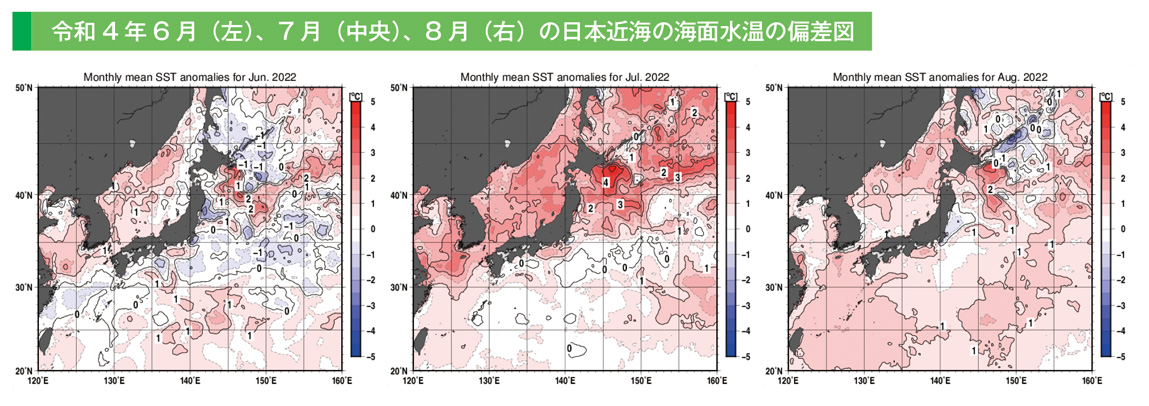 令和4年6月(左)、7月(中央)、8月(右)の日本近海の海面水温の偏差図