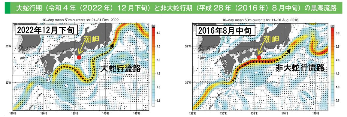 大蛇行期(令和4年(2022年)12月下旬)と非大蛇行期(平成28年(2016年)8月中旬)の黒潮流路