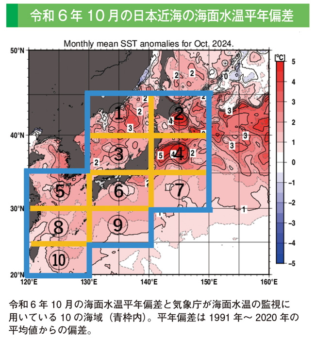 令和6年10月の日本近海の海面水温平年偏差
