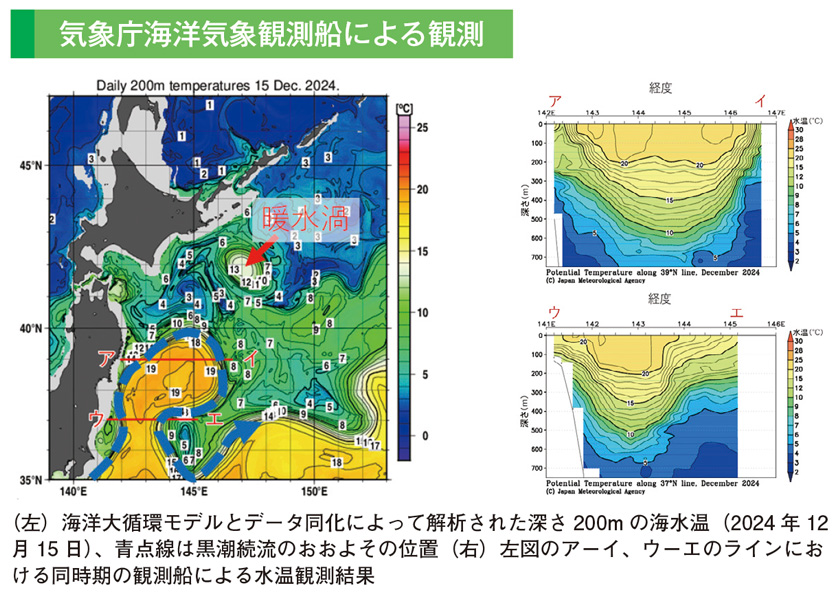 気象庁海洋気象観測船による観測